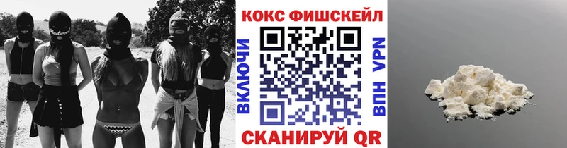 Cocaine FishScale  Купить закладки  Мензелинск 