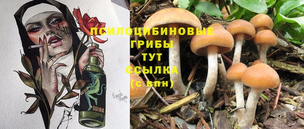 a pvp Богородицк