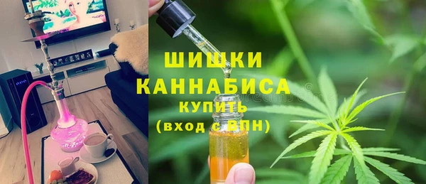 ECSTASY Богородск
